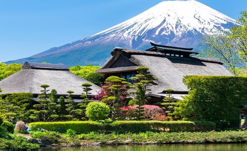 Mt. Fuji, Premium Outlets or Onsen One Day Tour from Tokyo