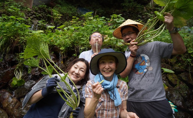 Wasabi farm hiking tour in Okutama