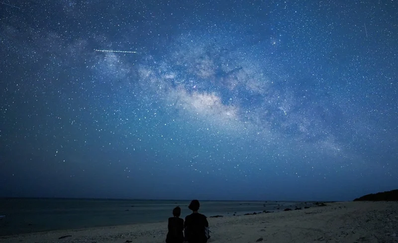 Ishigaki Island: Stargazing & Jungle Night Tour (Okinawa)