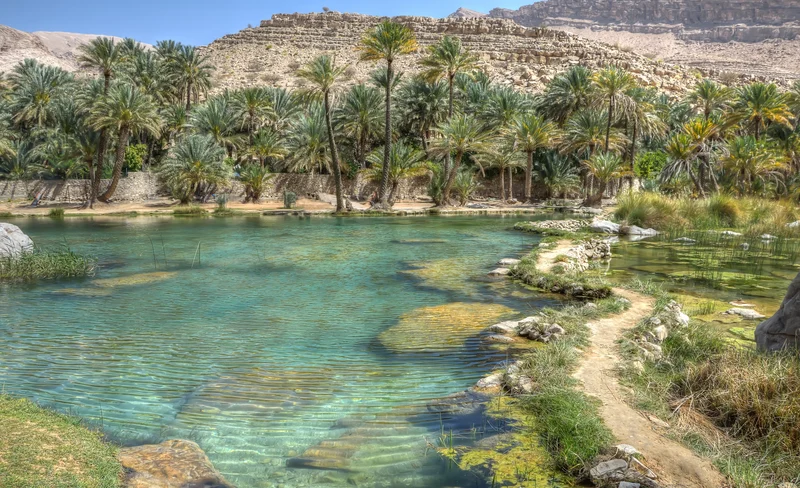 Dubai Desert & Wadi Shawka Half-Day Private Safari