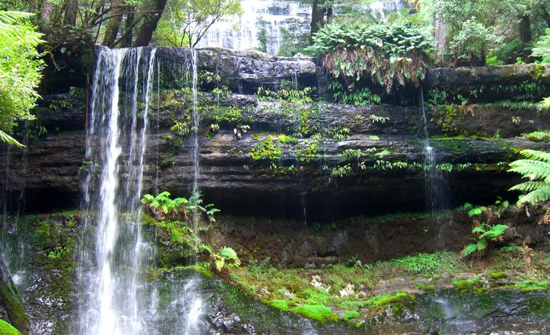 Russell Falls and Bonorong Wildlife Sanctuary Day Tour from Hobart