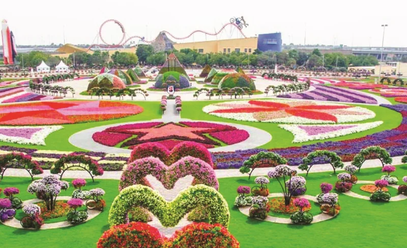 Dubai Miracle and Butterfly Garden Half-Day Tour