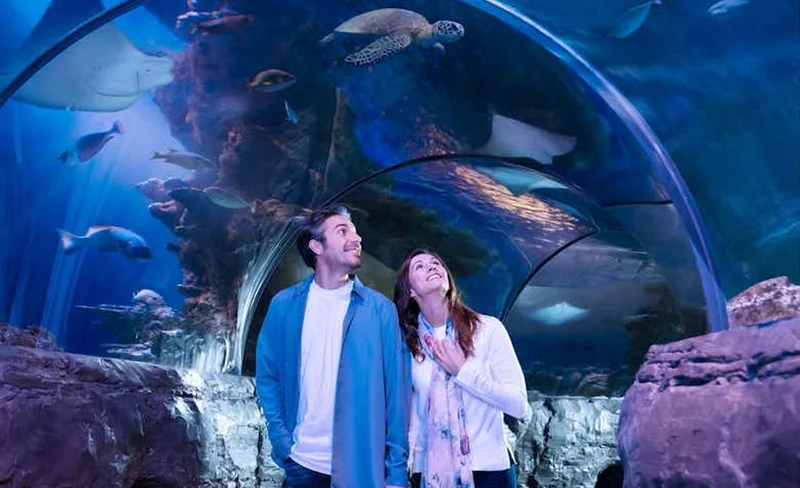 SEA LIFE San Antonio Ticket