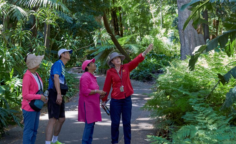 Melbourne Royal Botanic Gardens Free Guided Walking Tour