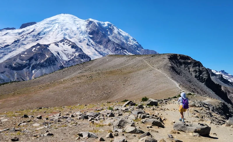 Mount Rainier Day Hike With Transport From Seattle