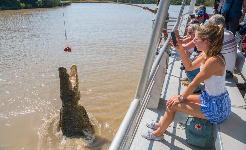 1-Hour Jumping Crocodile Cruise on the Adelaide River