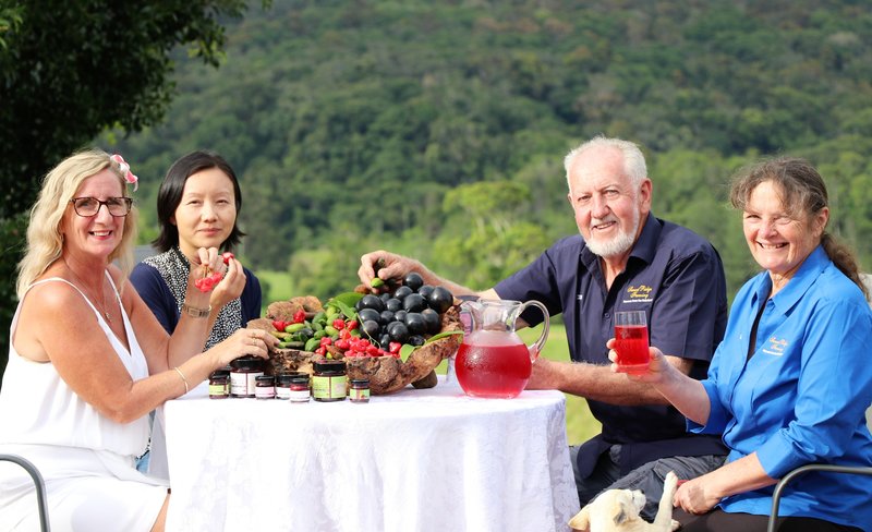 Australian Outback Food and Wine Tasting Tour from Cairns