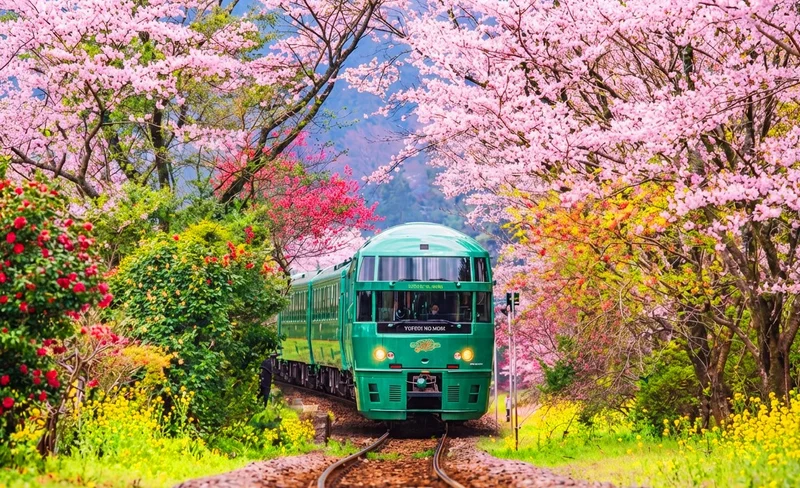 Kyushu One-Day Tour: Yufuin no Mori Train & Yufuin Town & Nyoirin-ji Temple & Dazaifu & Hell Hot Springs (Departing from Fukuoka)