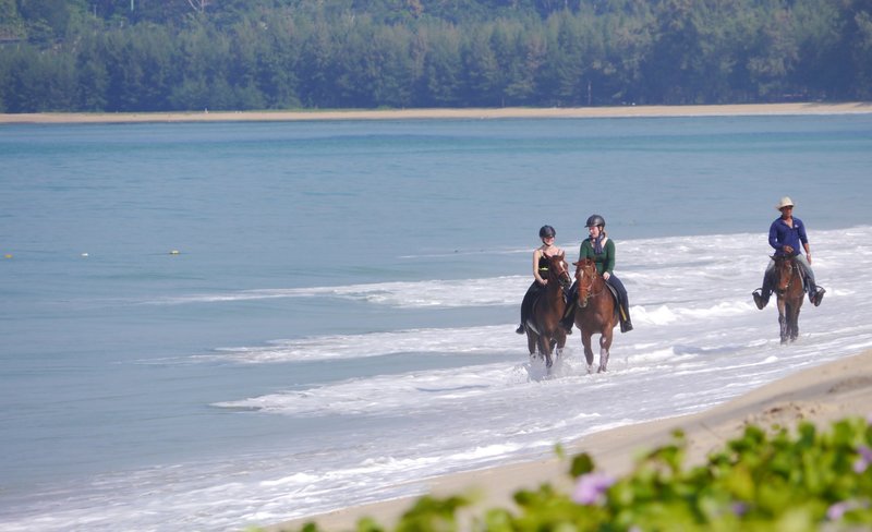 Horseback Riding Experience in Phuket