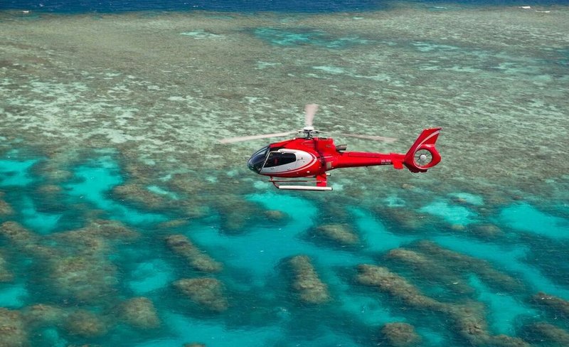 Great Barrier Reef Snorkel, Dive & Helicopter Full Day Tour