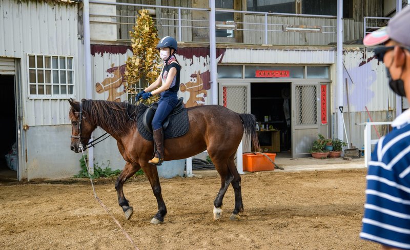 Outdoor Activities in Penghu: Horse Riding Experience & Horse Feeding & Horse Knowledge Teaching