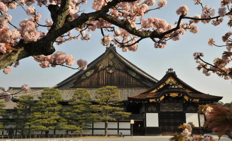 Kyoto Morning Tour from Kyoto or Osaka