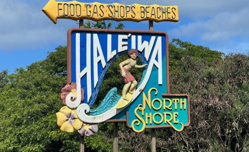 North Shore and Dole Pineapple Farm Tour