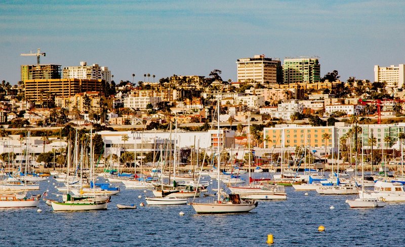 Harbor Cruise and Sea Lion Adventure in San Diego