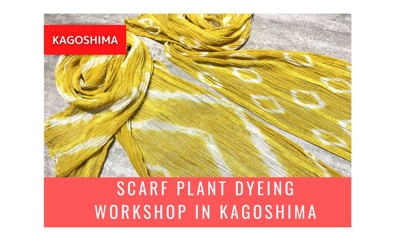 Scarf Plant Dyeing Workshop in Kagoshima
