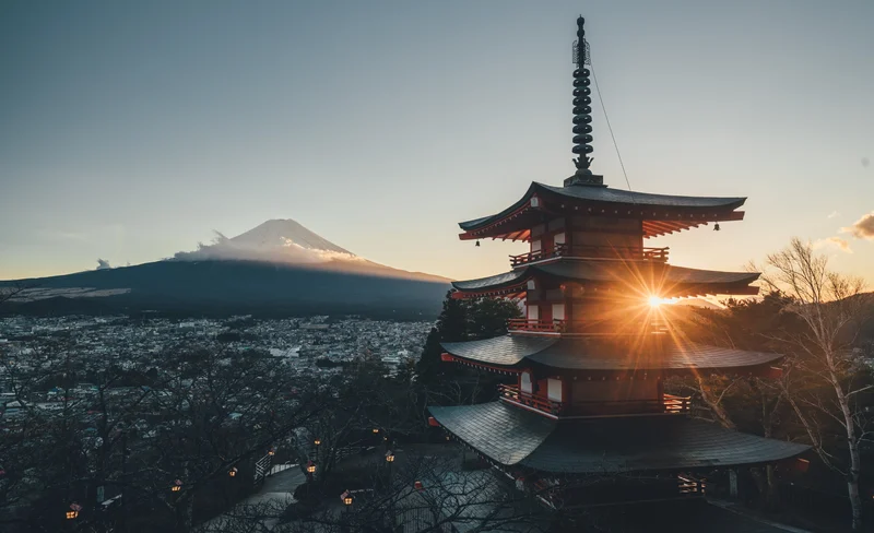 Mt. Fuji Day Tour: Flower Sightseeing & Outlet Shopping from Tokyo