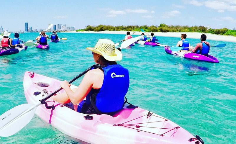 Morning Dolphin Kayaking & Snorkeling Guided Tour in Gold Coast