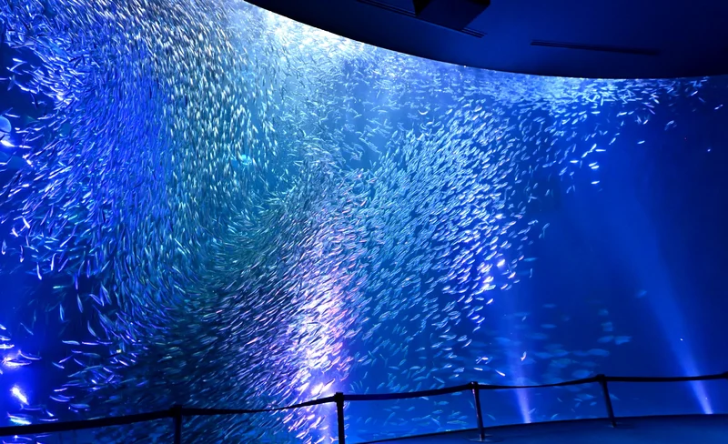Port of Nagoya Public Aquarium