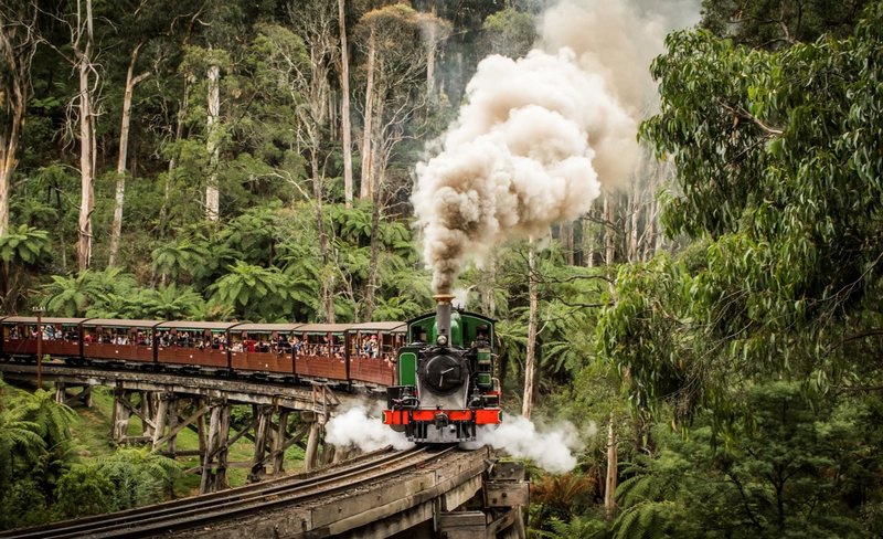Puffing Billy Railway Ticket or Bus Tour