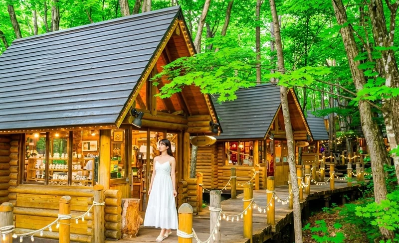 Hokkaido Popular Attractions Day Tour | Asahikawa Zoo & Instagram-worthy Tree & Shirahige Falls & Biei Blue Pond & Ningle Terrace