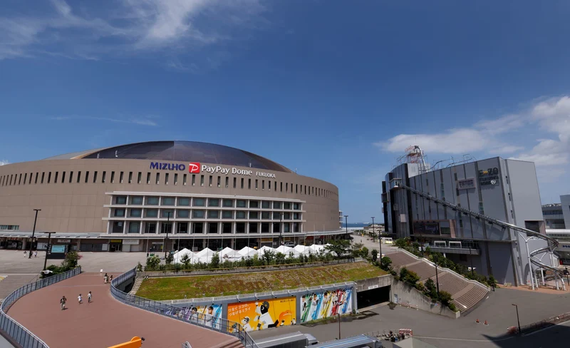 Fukuoka SoftBank HAWKS Baseball Game Ticket