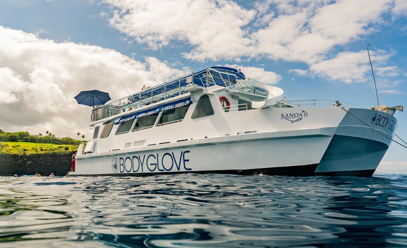 Deluxe Snorkeling & Dolphin Watching Experience in the Big Island