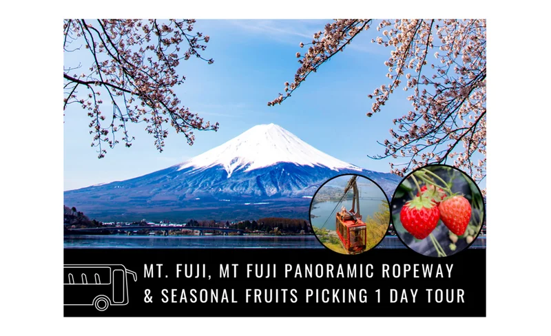 富士山・富士山パノラマロープウェイ・季節の果物狩り 日帰りツアー（新宿発）