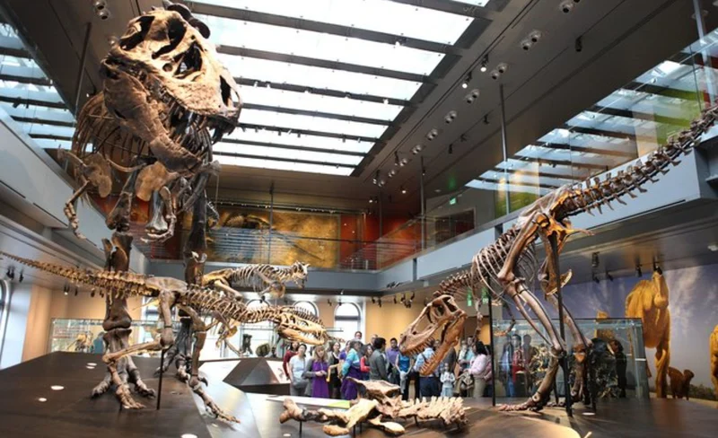 Natural History Museum Ticket in Los Angeles
