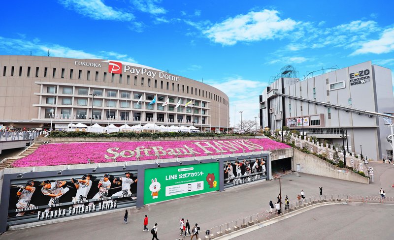Fukuoka SoftBank HAWKS Baseball Game Ticket