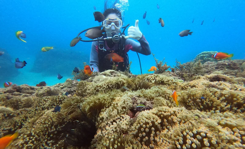 Pingtung｜Kenting Wanli Tong Beach Water Sports｜Diving Experience・Advanced Snorkeling
