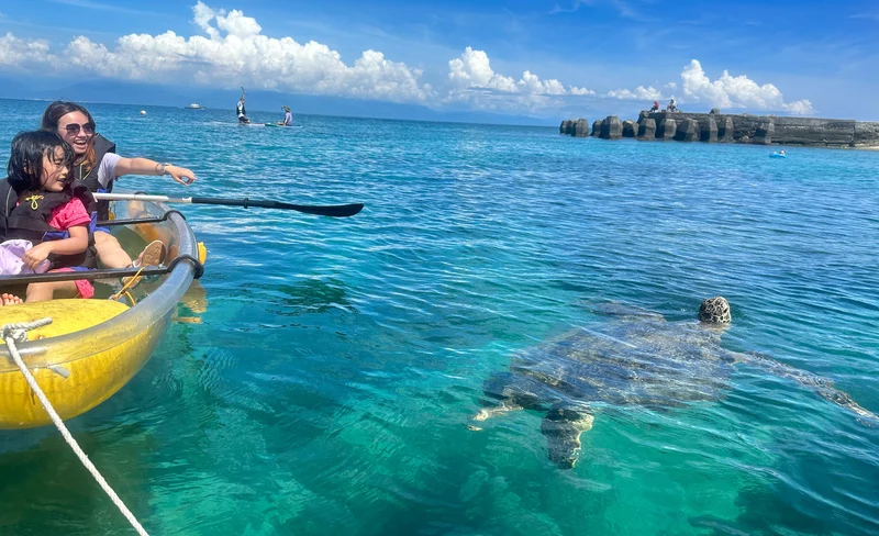 Xiao Liuqiu Sea Turtle Water Activities / Snorkeling / Canoe / SUP Board / Experience Deep Diving (Free Photos)
