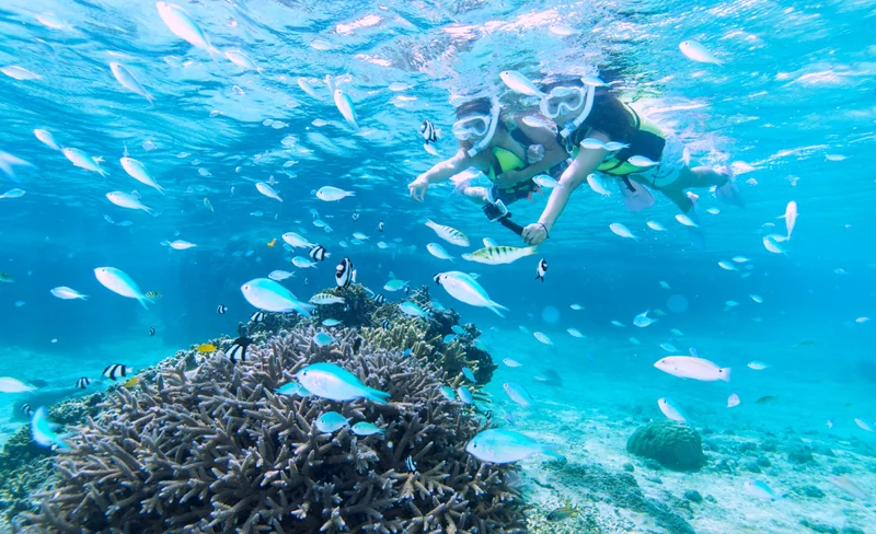 サンゴ礁を泳ぐシュノーケルツアー(宮古島 店舗集合型で駐車場とシャワー完備)