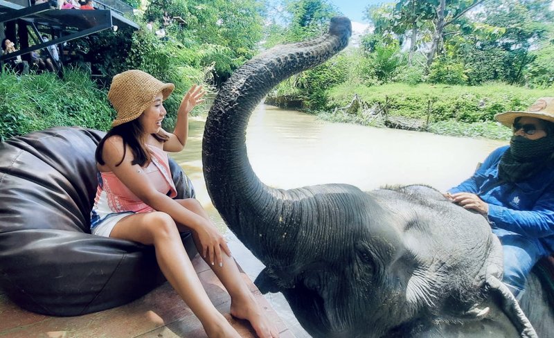 One-Day Tour from Bangkok to Pattaya with Elephant Cafe and more