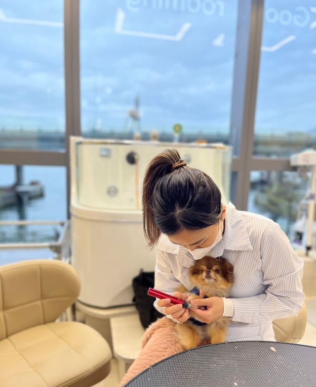 Good Grooming 環境 1