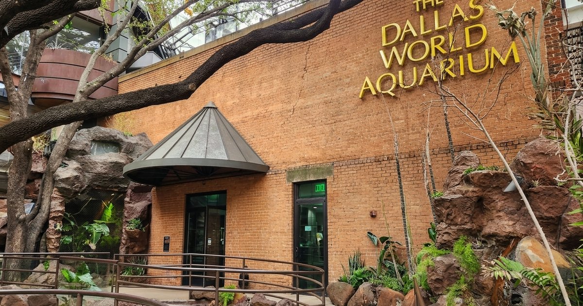 Dallas World Aquarium: Everything You Need Before Visiting