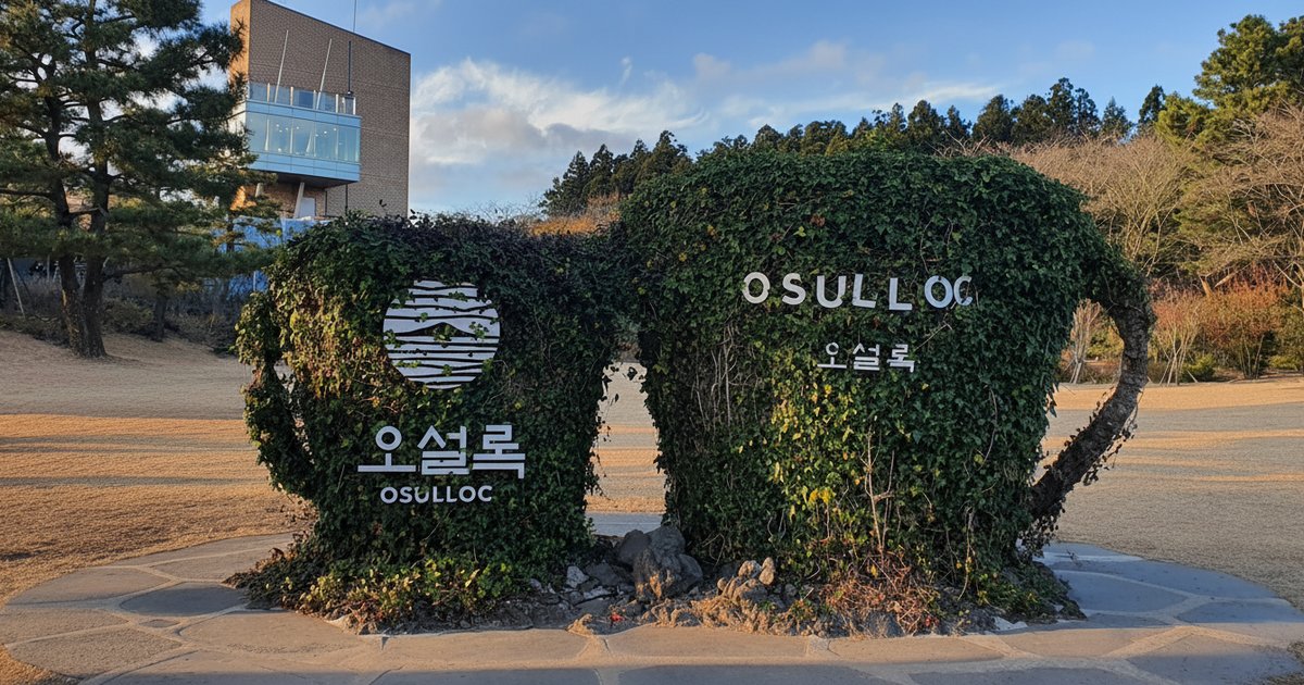 O’Sulloc Tea Museum