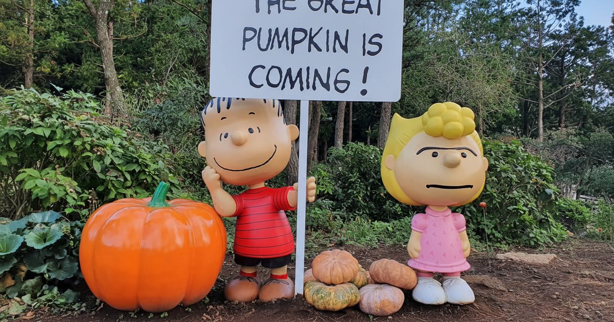Best Snoopy Garden Tours, South Korea 2026