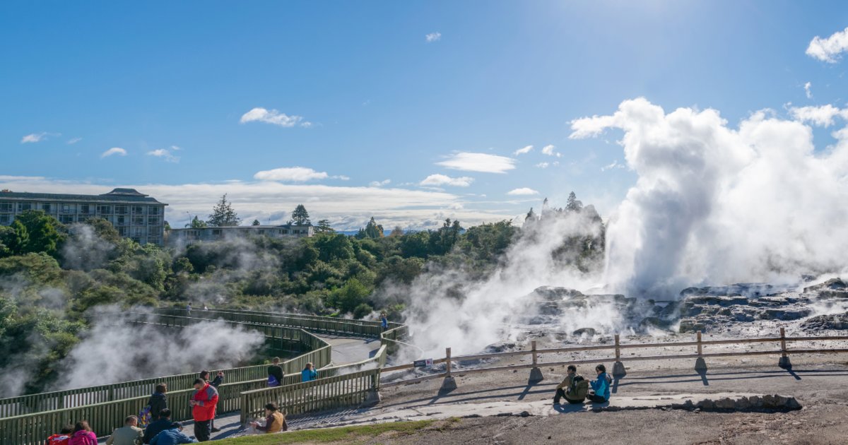 Royo Ranz Te Puia - Rotorua, NZ: Everything You Need Before Visiting