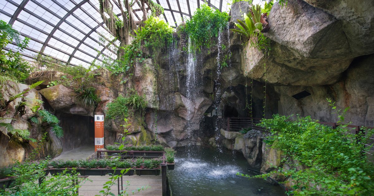 Best things to do in Entopia, Malaysia 2026