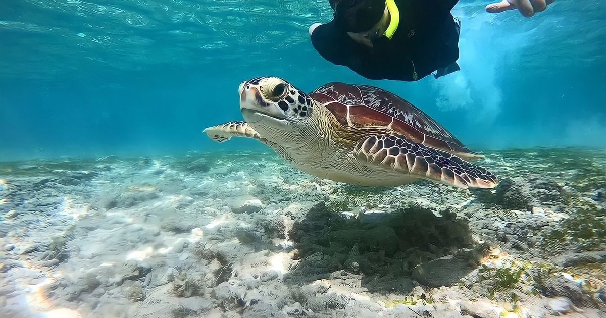 Gili Islands: Everything You Need Before Visiting