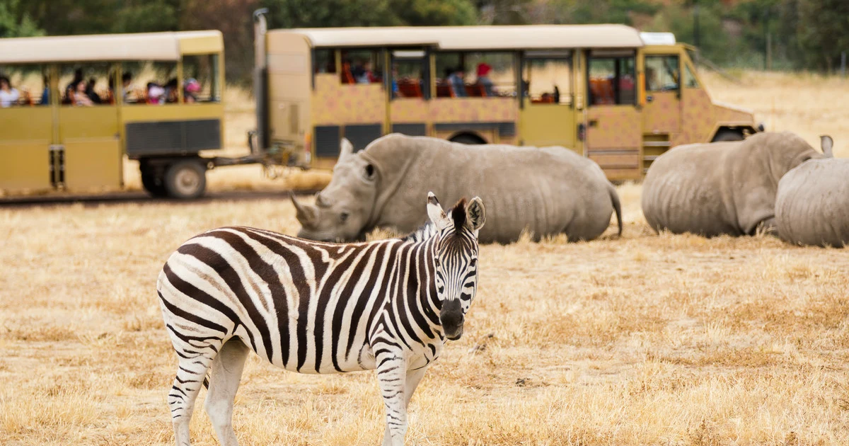 ウェロビー オープン レンジ動物園：旅行前に知っておきたいおすすめ情報