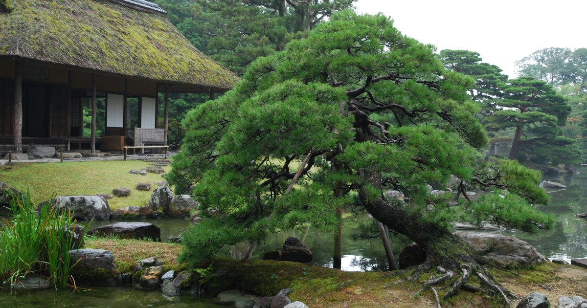 桂離宮：旅行前に知っておきたいおすすめ情報