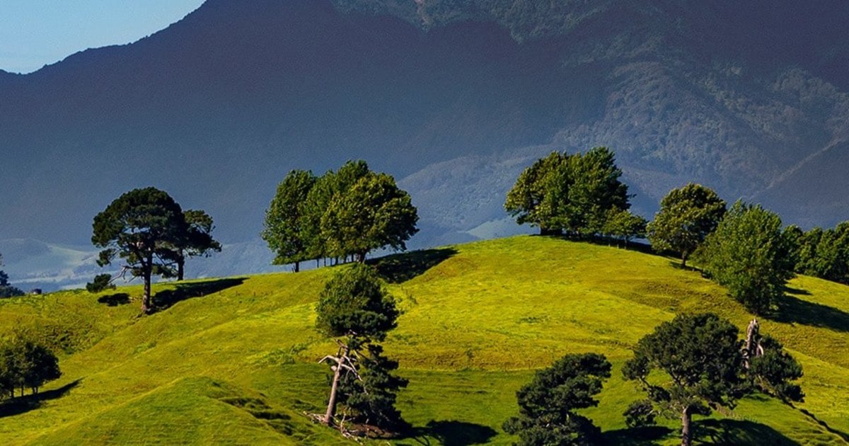 Matanati Must-Visit Places and Attractions in Matamata, New Zealand 2026
