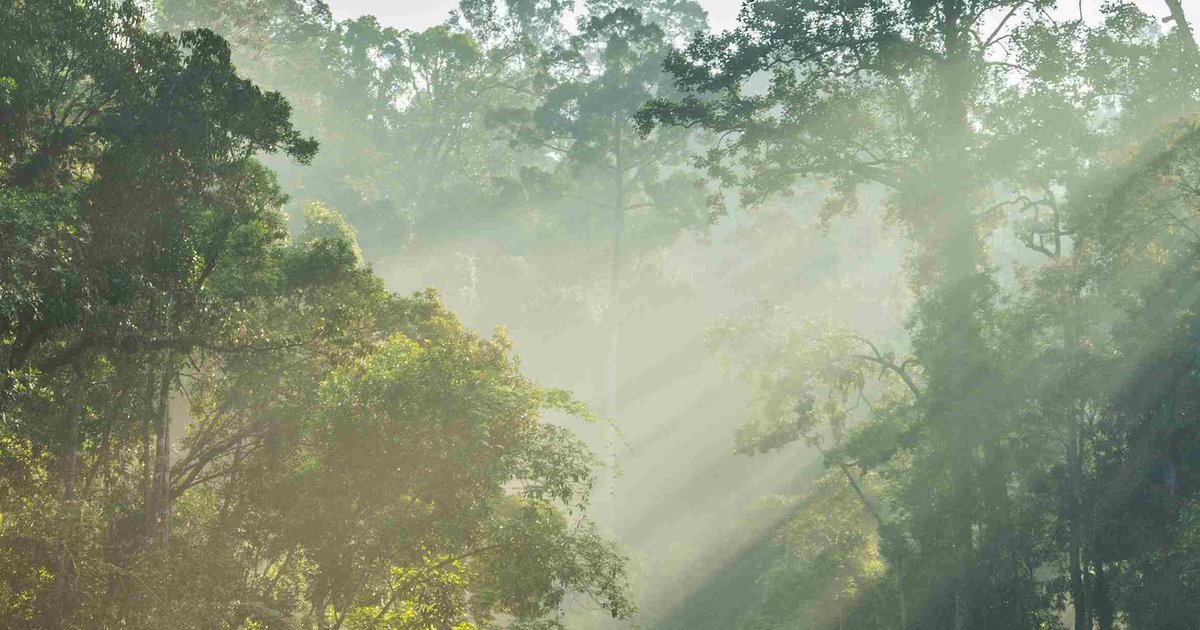 Rompim Best Places To Visit in Rompin