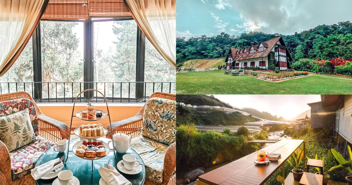 11 Best Hotels In Cameron Highlands: From Charming Vintage Resorts To ...
