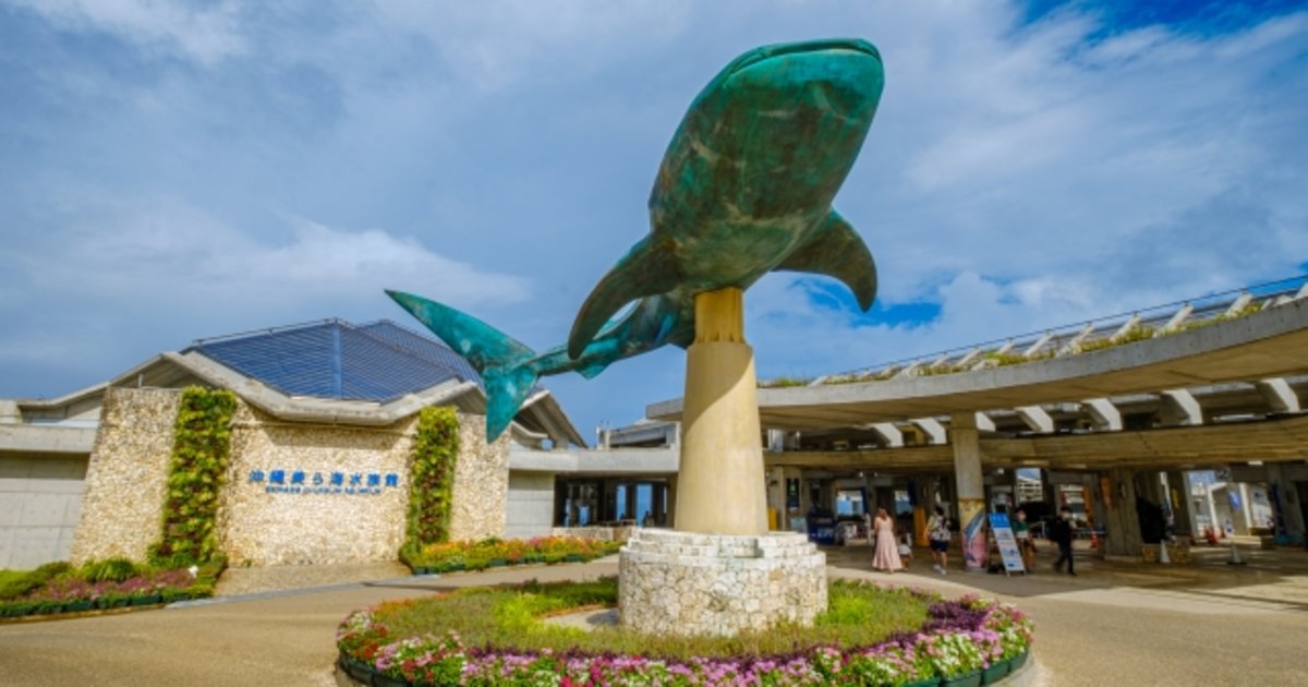 沖縄美ら海水族館ってどんなところ？割引チケット、見どころ、アクセス 