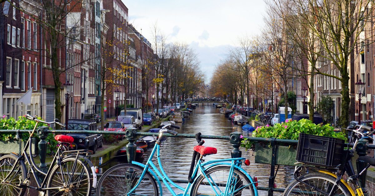 アムステルダム Amsterdam. 3mm サイズ ML アムステルダム Amsterdam