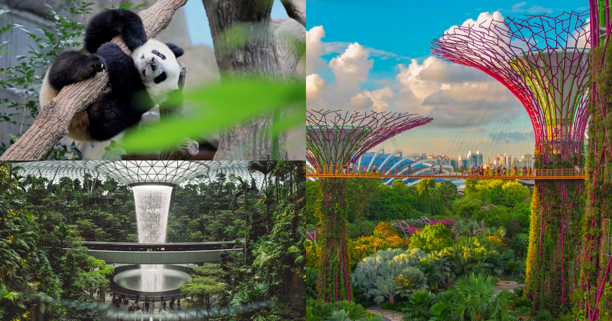 81 Best Things to do in Singapore (Sorted by Activity!) - Klook