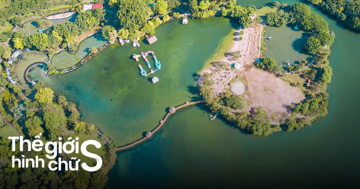 Mơ Thấy Dê Là Điều Tiềm Thức Muốn Nhắn Gửi Cho Quý khách hàng - Giải Mã Bí Ẩn Đằng Sau Giấc Mơ Thấy Dê