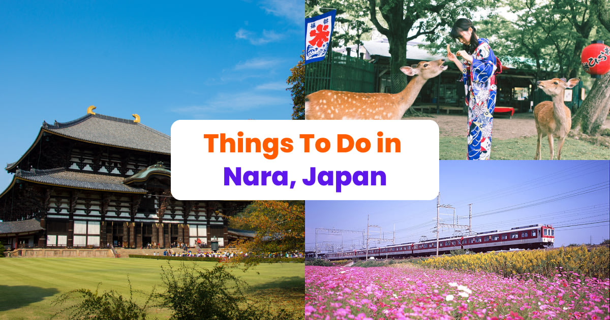 Things To Do In Nara, Japan: A Day Trip From Osaka - Klook